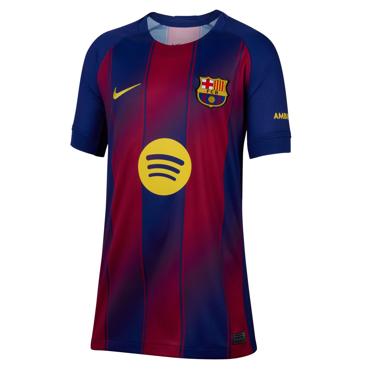 Big Kid's Replica Nike FC Barcelona Home Jersey 25/26