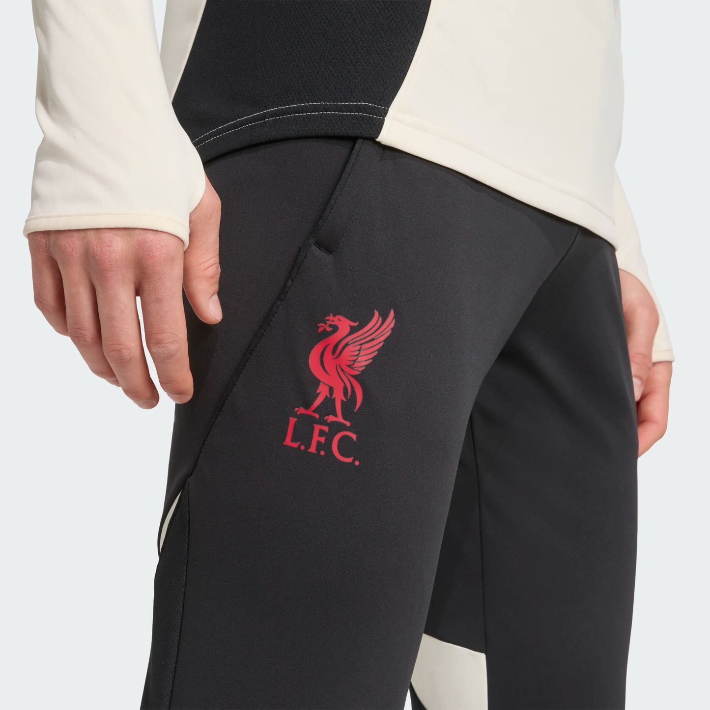 Men's Liverpool Euro Training Pant 25/26