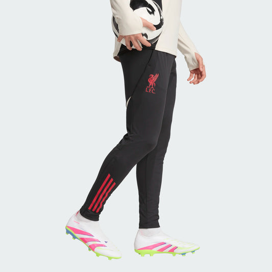 Men's Liverpool Euro Training Pant 25/26