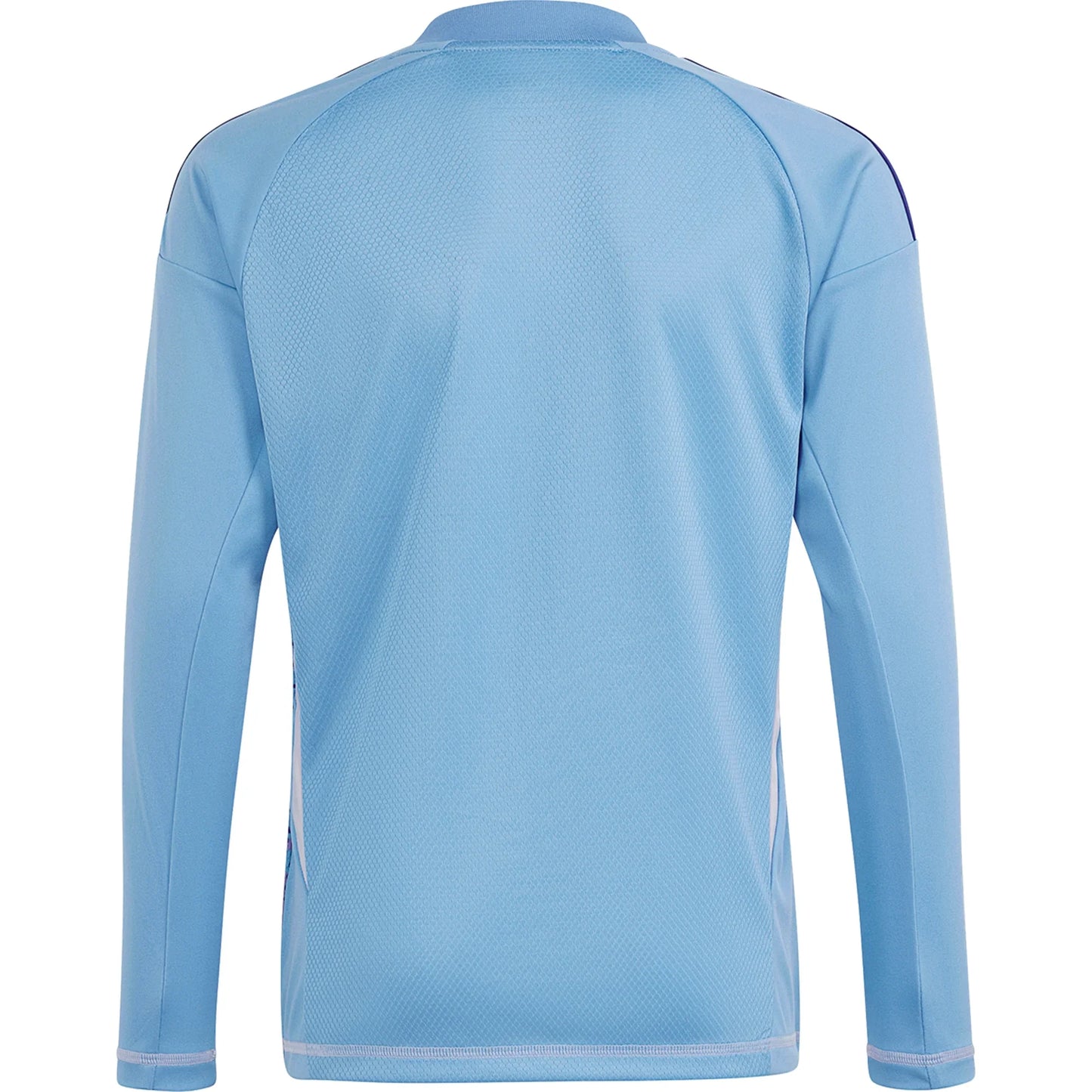 Adidas Tiro 24 Comp LS Long Sleeve Goalkeeper Jersey - Blue/Purple/White