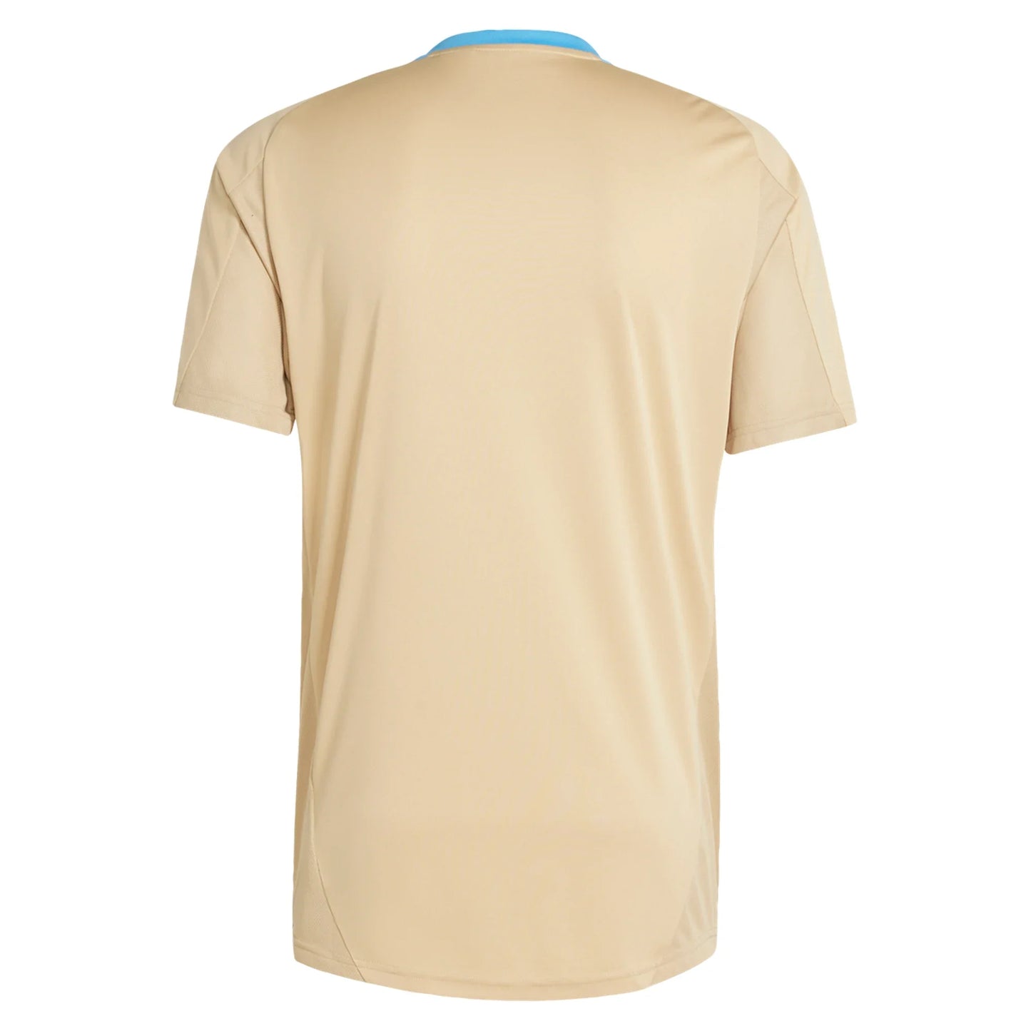 Men's Argentina Training Jersey 2024