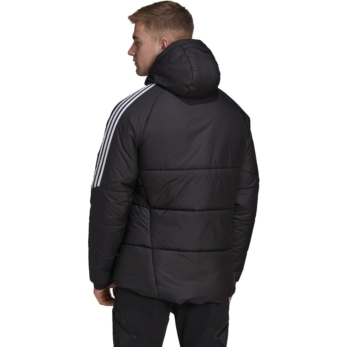 Adidas Condivo 22 Winter Jacket - Black